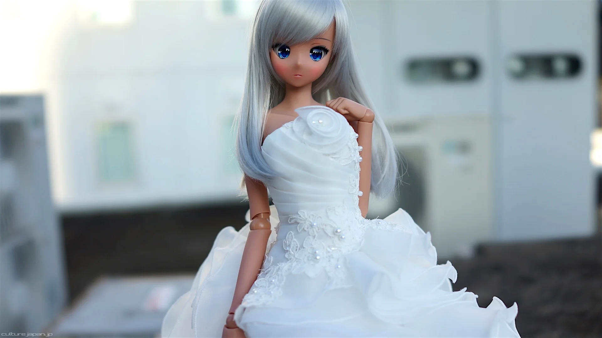 Bridal Gown 2016 (White Rose) - Image 7