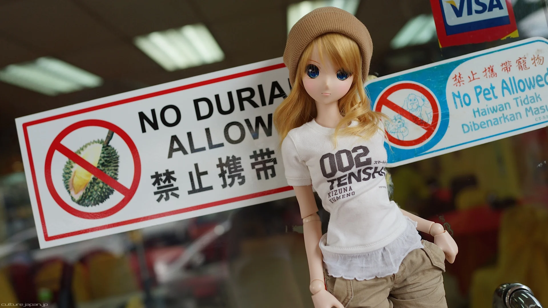 Frill T-shirt (Kizuna) - Image 9