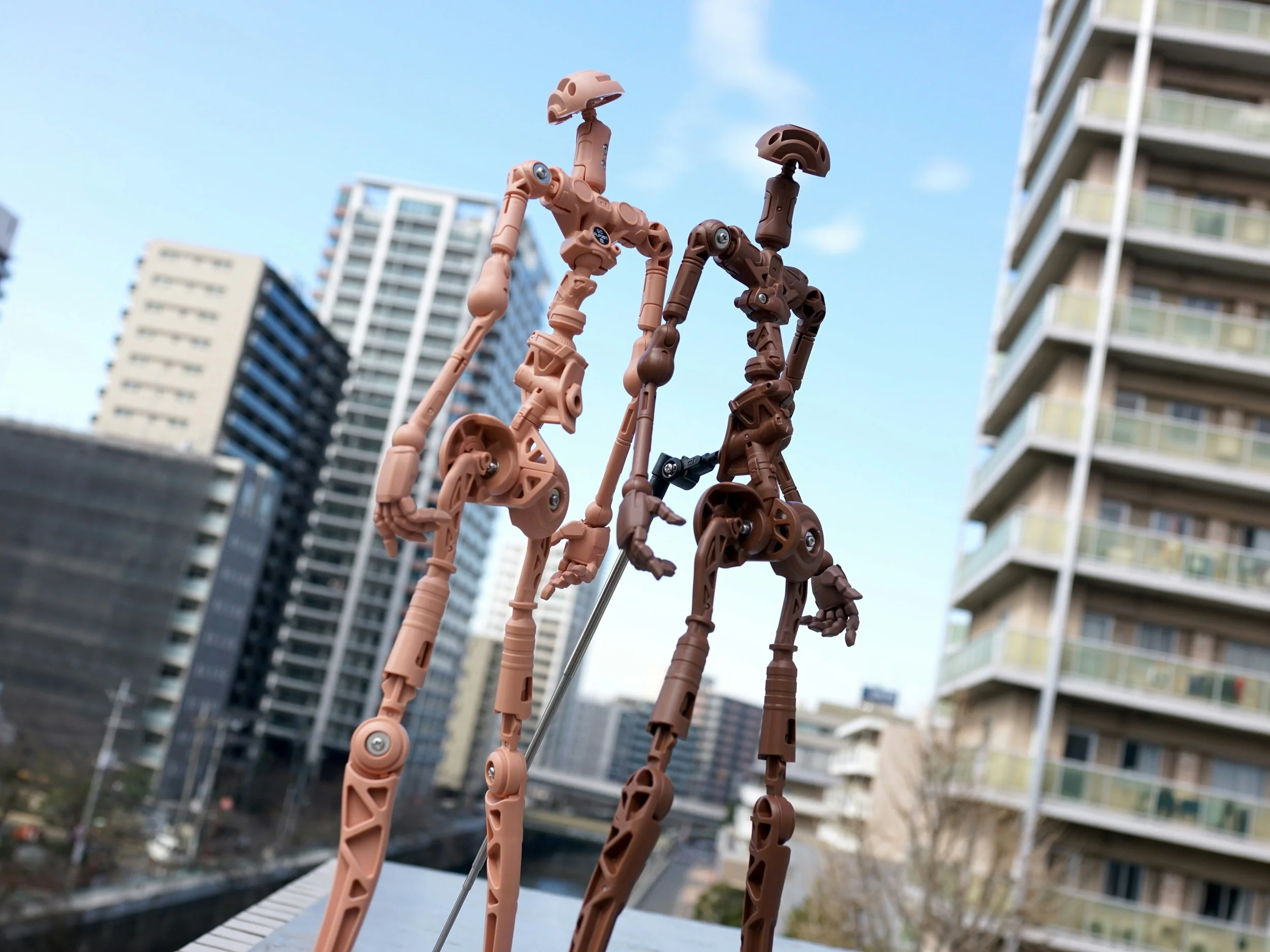 Internal Skeletal Frame - Evolve - Image 3