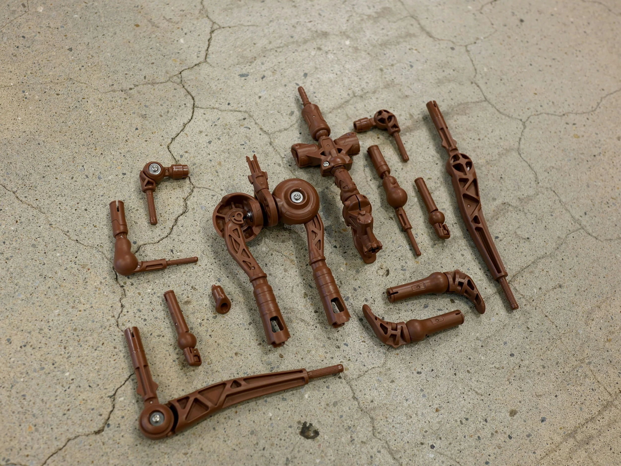 Internal Skeletal Frame - Evolve - Image 6