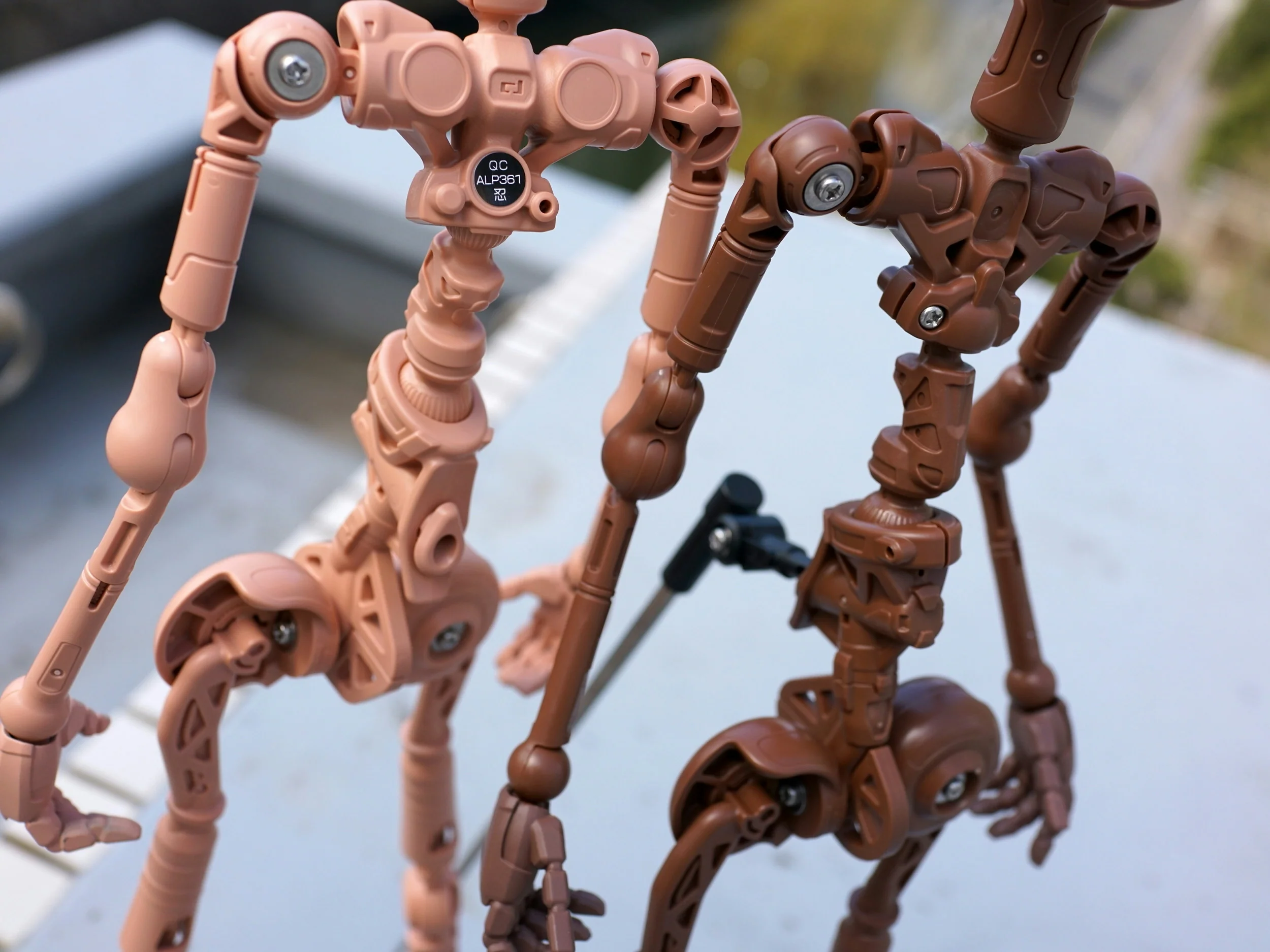 Internal Skeletal Frame - Evolve - Image 9
